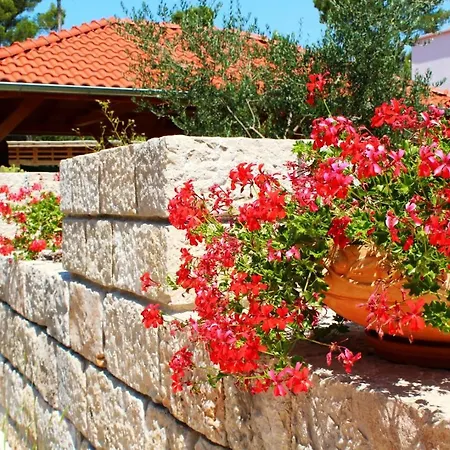 公寓 Vice With Pool