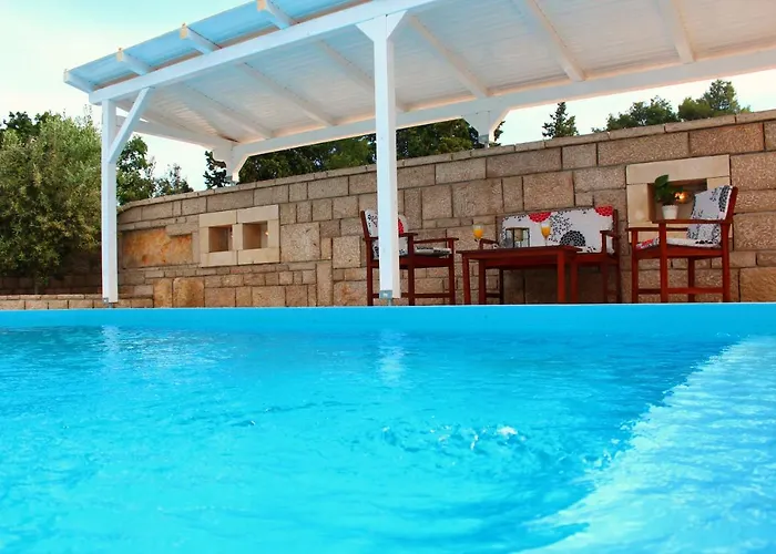 Vice With Pool Pakoštane